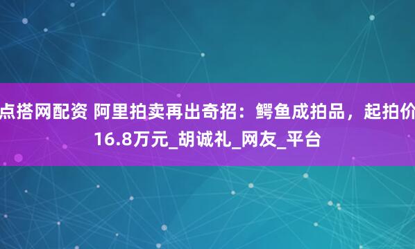 点搭网配资 阿里拍卖再出奇招：鳄鱼成拍品，起拍价16.8万元_胡诚礼_网友_平台