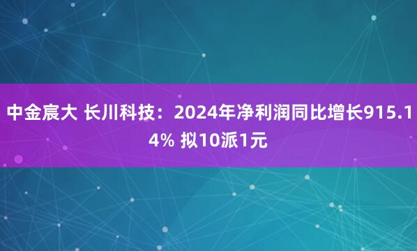 中金宸大 长川科技：2024年净利润同比增长915.14% 拟10派1元
